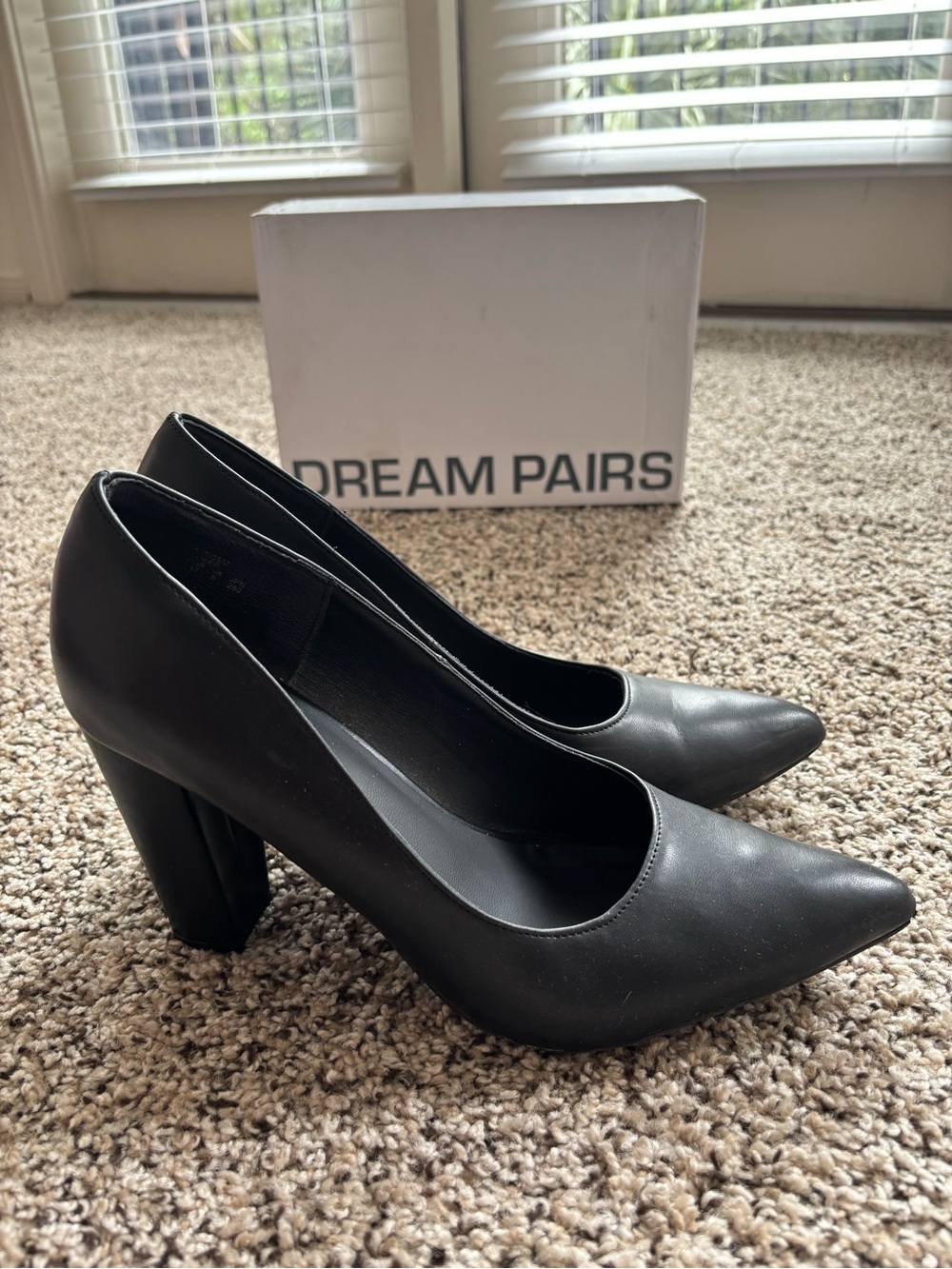 Dream Pairs Black Pointed Block Heel Pumps